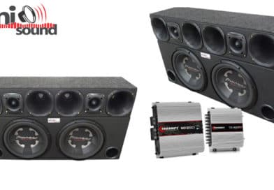 Caixa 2 Pioneer TS-300