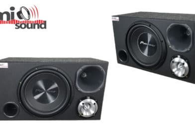 Caixa-Pionner-TS-A300-com-D250X